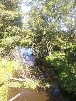 река в селе Новые Ярыловичи