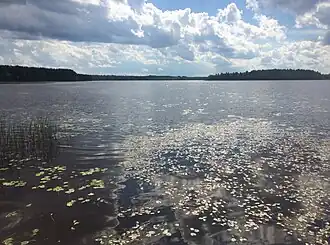 Нёлгомозеро в одноимённом посёлке