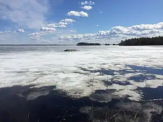 Озеро в деревне Шуезеро.