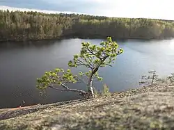 Озеро Ястребиное, вид с Парнаса