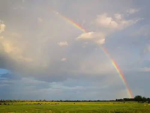 Окраина села — пастбище