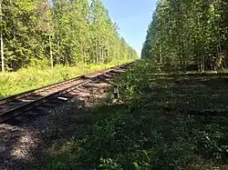 Вид в сторону ст. Пийтсиёки.