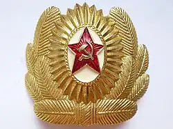Кокарда с эмблемой на шапку-ушанку и фуражку для повседневной формы одежды офицеров авиации и ВДВ СА Вооружённых Сил Союза ССР, 1969 — 1991 годов.