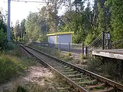 Вид в сторону Сестрорецка. 2009 год