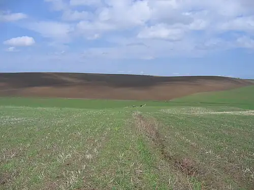 Поля Карамурта