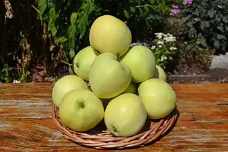 Плоды Папировки