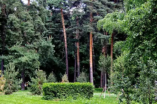 Вид на паркс Тимуровской улицы