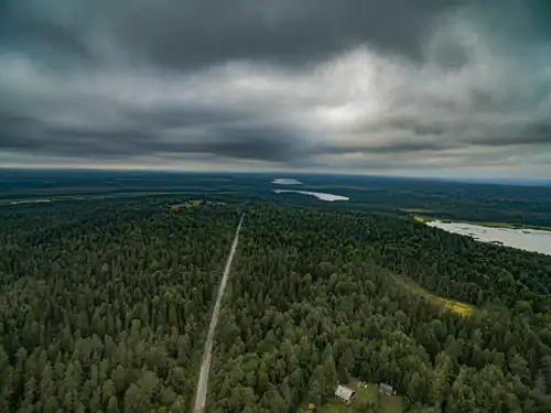 Дорога из посёлка