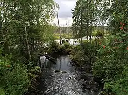 Вид против течения