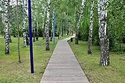 Пешеходная дорожка с деревянным настилом (июнь 2019)