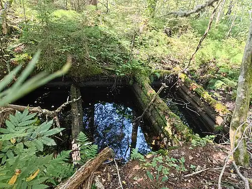 Устье одной из шахт (2024 г.)