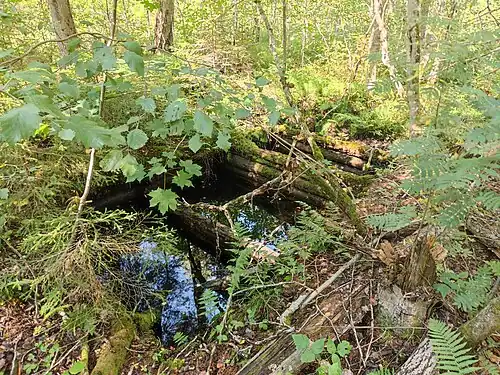Одна из шахт с сохранившейся деревянной крепью