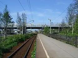 Вид в сторону Сестрорецка