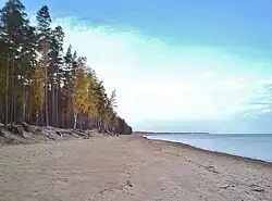 Побережье Финского залива вдоль заказника