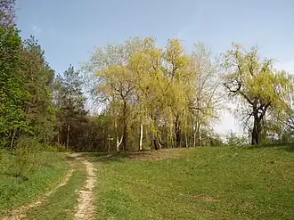 дорога в западной части парка