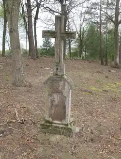 Православное кладбище в Гнойно. Могила Ивана Андреевича Садовского