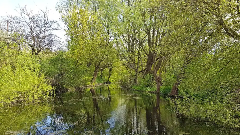 пруд безымянного ручья между улицами Ящука и Ривкина