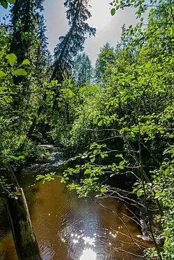 Река летом 2013 года