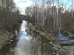 Бегуновка в районе трассы Кузнечное — Шушино.