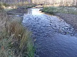 Река в 2007 году. Среднее течение