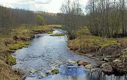 Река Веребушка западнее железнодорожного моста у д. Лескуново