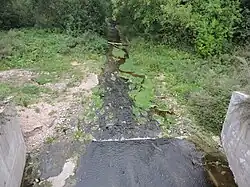 Нижнее течение Ворожи в городе Устюжна. Вид с моста в сторону устья летом 2016 года.