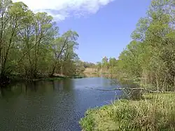 Река Донецкая Сеймица возле деревни Васильевка весной 2017 года