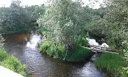 Река Еменьга в 3-х км от устья