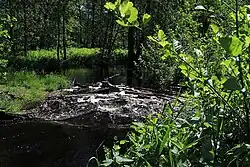 русло реки севернее деревни Липша, 2011