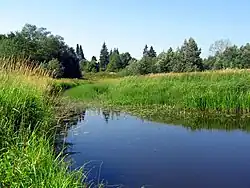 Удрайка около деревни Большая Удрая