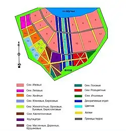Древесные и кустарниковые виды в кварталах парка размещались по систематическому принципу, преимущество которого заключалось в том, что видовое разнообразие рода и семейства сосредотачивается в одном месте.