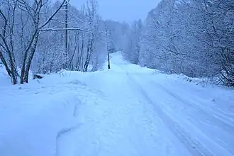 Рождественское утро
