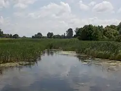 река в селе Ковжижа