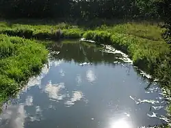 в 1 км от устья