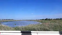 Вид на реку с автодороги Т-01-07 в селе Камышевое