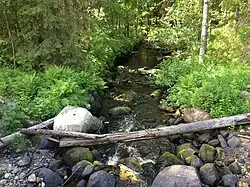 Вид по течению (в сторону Выгозера)