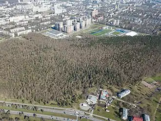 Пискарёвский парк