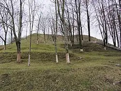 Городище в центре посёлка