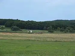 Широколиственный лес