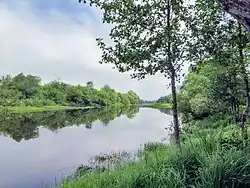 Река Солотча