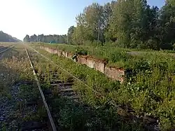 Вторая грузовая платформа. Вид в сторону ст. Олонец