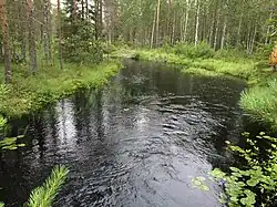 Сяюнейоки. Вид против течения