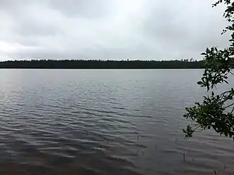 Вид с дороги 86К-165 летом 2020 года