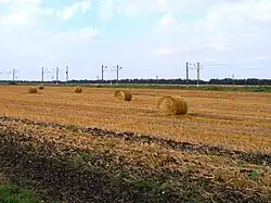 Типичный придорожный пейзаж - поля зерновых