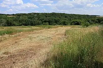 Вид в восточном направлении