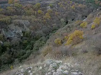 Урочище Карасу-Баши, исток Биюк-Карасу