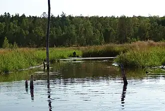 Устье реки Ильбинчик