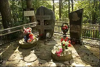 Могила Григория Бородулина