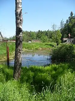 Фермерский пруд