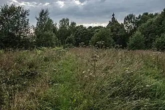 Вид на Церковь Воздвижения Креста Господня. 2020 год